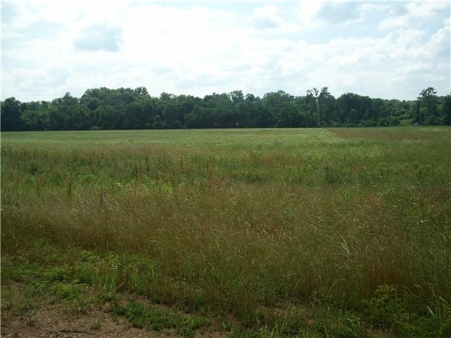 0 Rock Springs Road Bethpage, TN 37022 - Photo 7 of 7