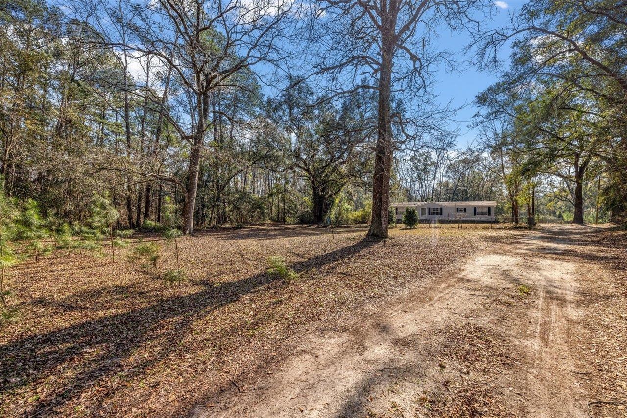 5930 Williams Road Tallahassee, FL 32311 - Photo 11 of 42 Gallery Image 11