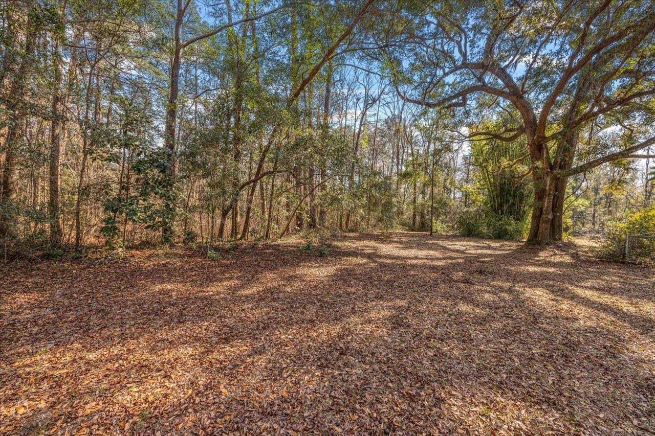 5930 Williams Road Tallahassee, FL 32311 - Photo 10 of 42 Gallery Image 10