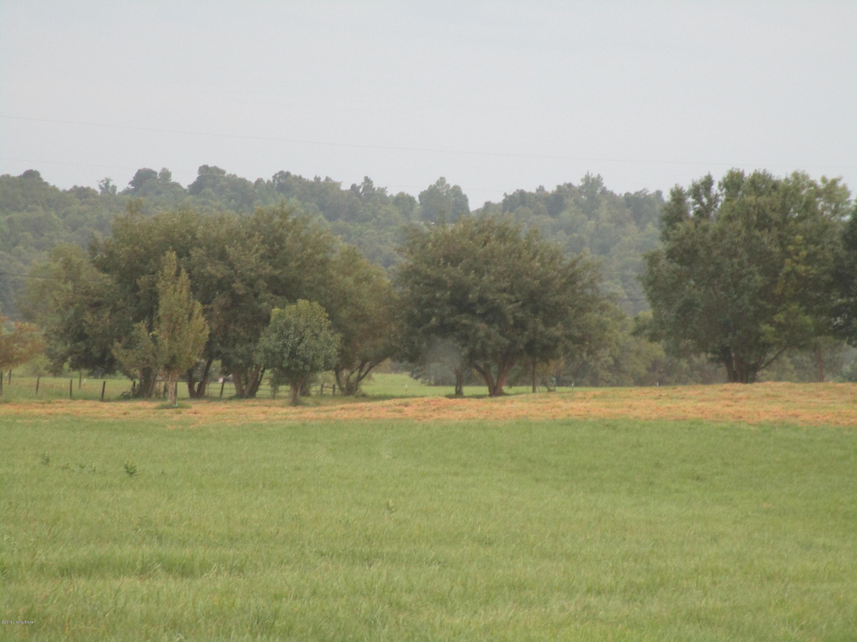 1171 Post-Hopewell Road Caneyville, KY 42721 - Photo 45 of 55 IMG_0202