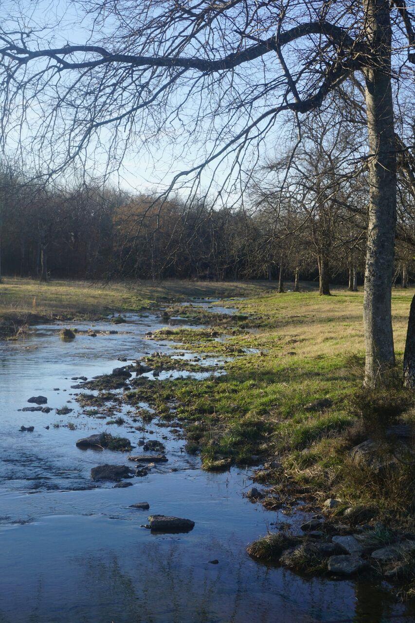 283 Salem Road Lebanon, TN 37090 - Photo 1 of 17 a view of a lake view