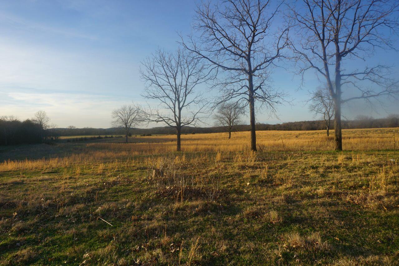 283 Salem Road Lebanon, TN 37090 - Photo 12 of 17 a view of an ocean with trees