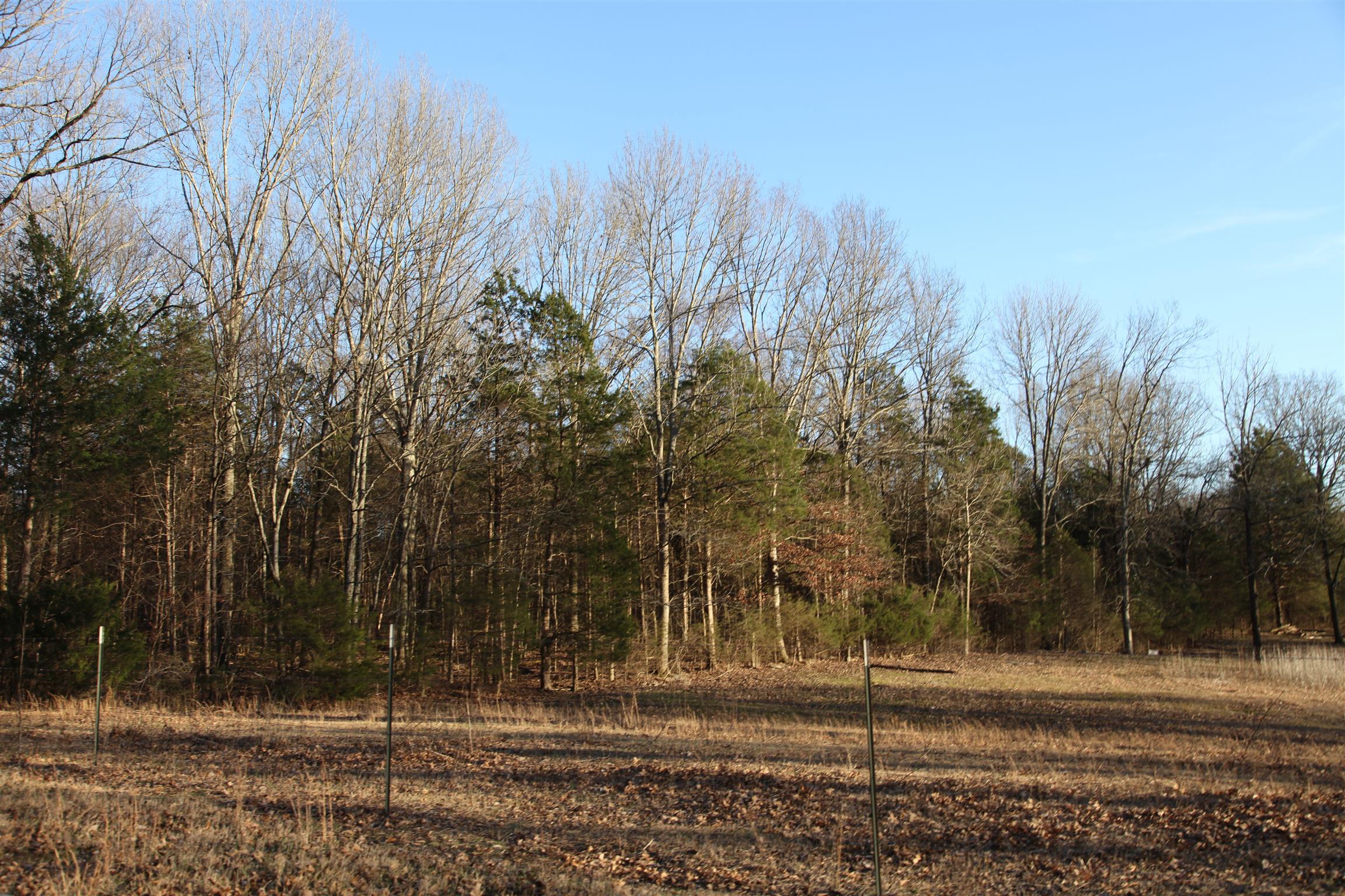 283 Salem Road Lebanon, TN 37090 - Photo 13 of 17 a view of a yard with a trees