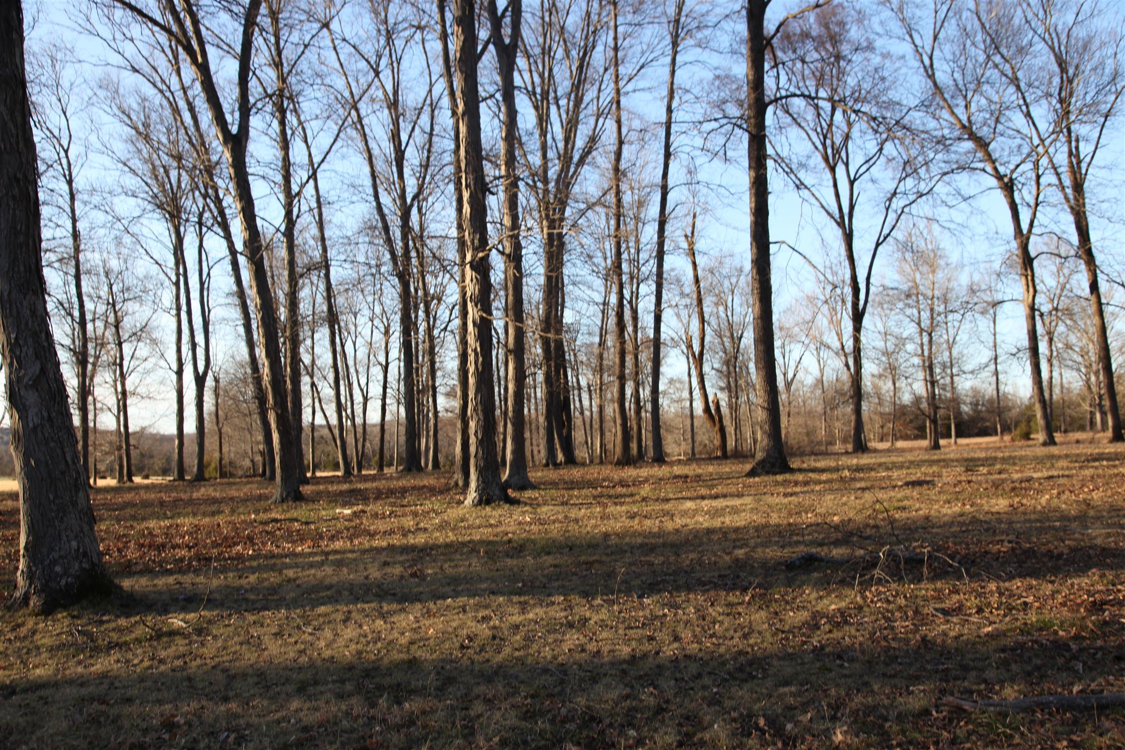 283 Salem Road Lebanon, TN 37090 - Photo 14 of 17 a wooden fence with some trees