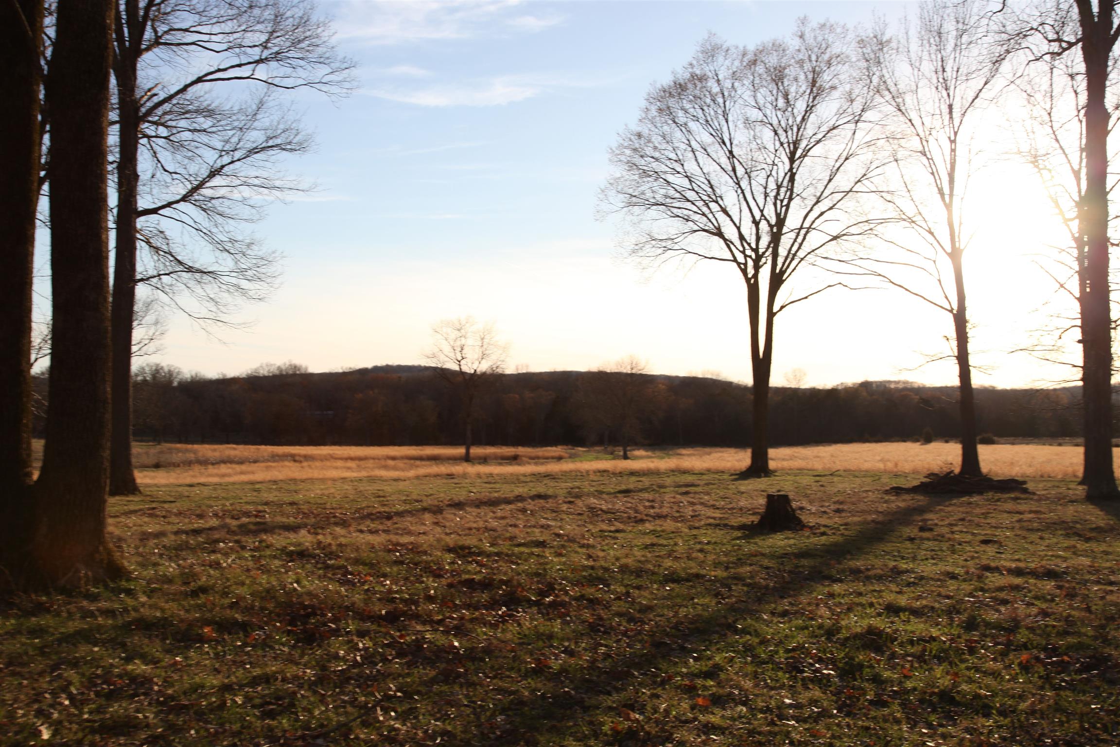 283 Salem Road Lebanon, TN 37090 - Photo 16 of 17 a view of an outdoor space with trees