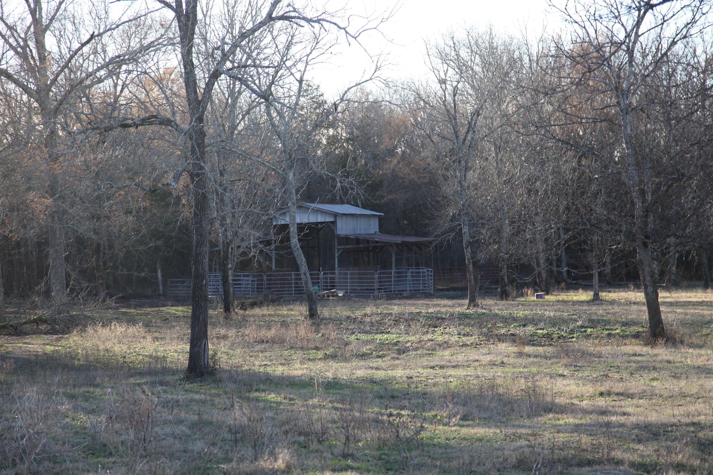 283 Salem Road Lebanon, TN 37090 - Photo 6 of 17 a backyard of a house with lots of green space