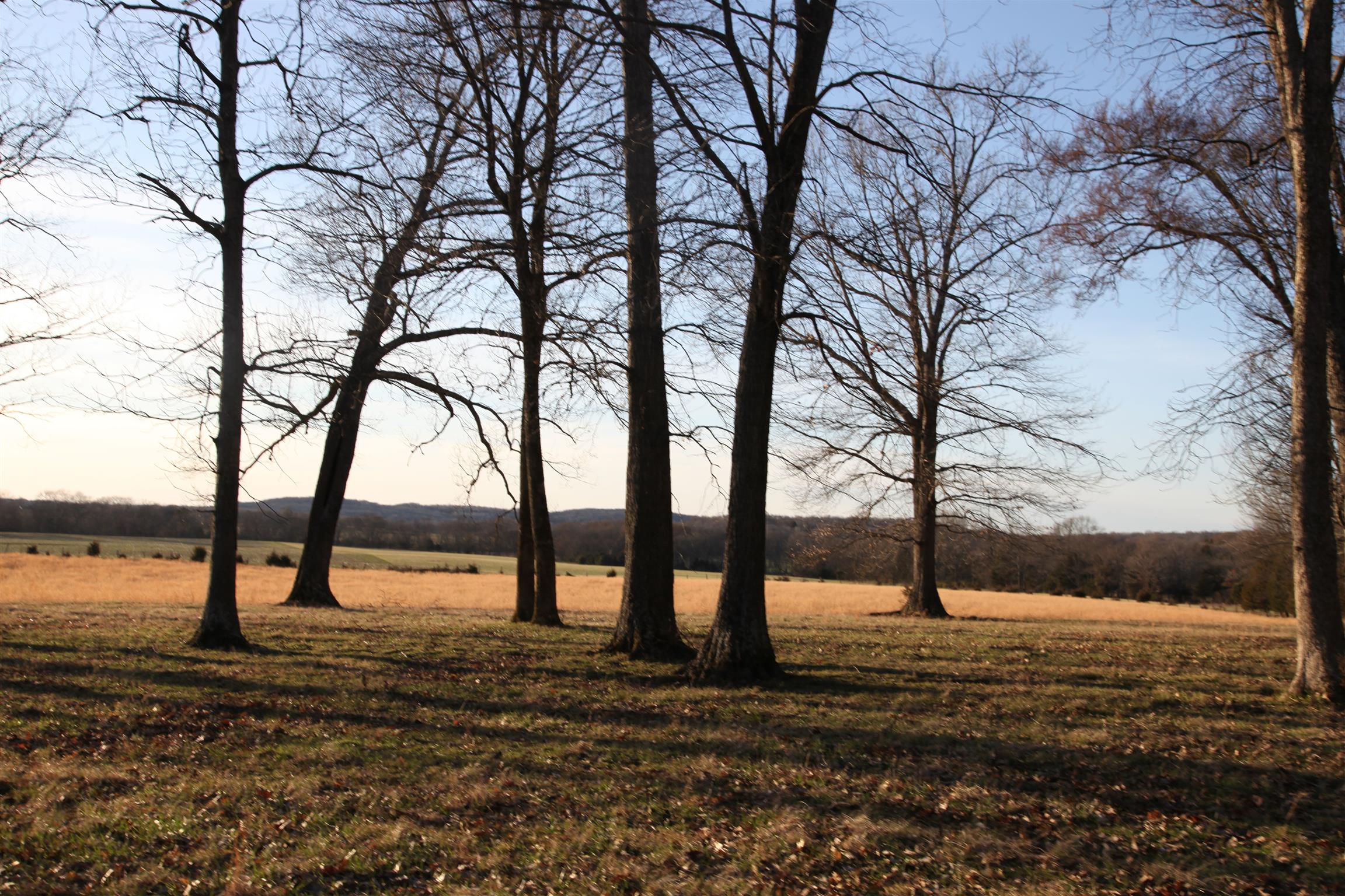 283 Salem Road Lebanon, TN 37090 - Photo 8 of 17