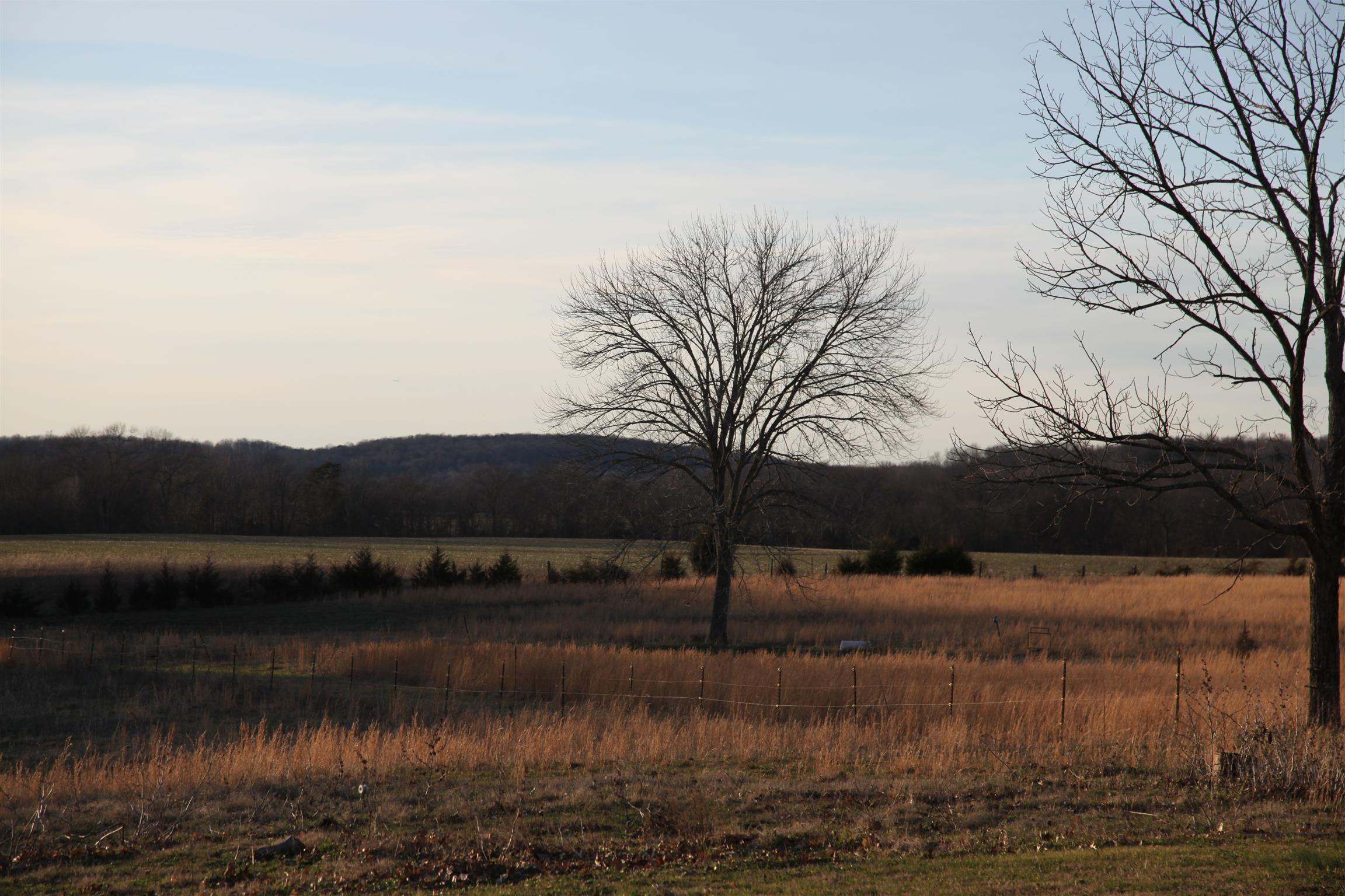 283 Salem Road Lebanon, TN 37090 - Photo 10 of 17 a view of lake with mountain
