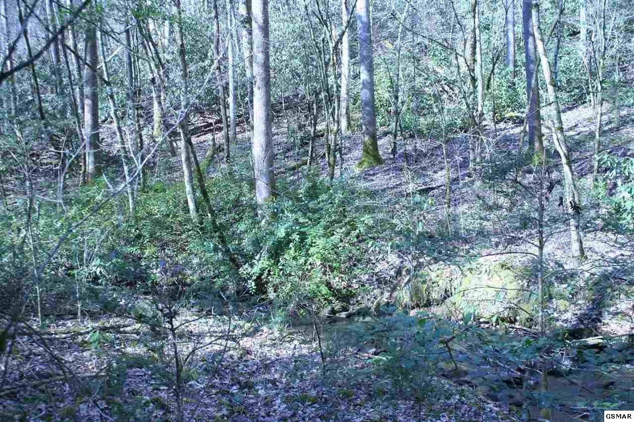 0 Ball Hollow Road Cosby, TN 37722 - Photo 23 of 36 Gallery Image 23
