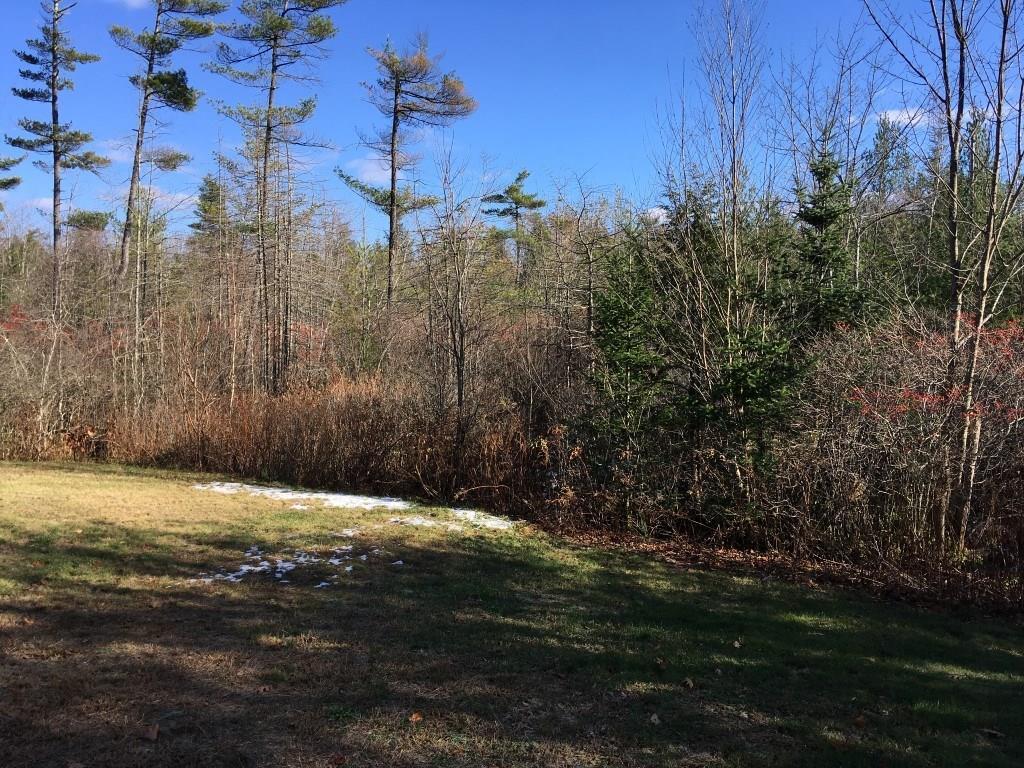 529 Chadbourne Road Standish, ME 04084 - Photo 35 of 35 Back Yard