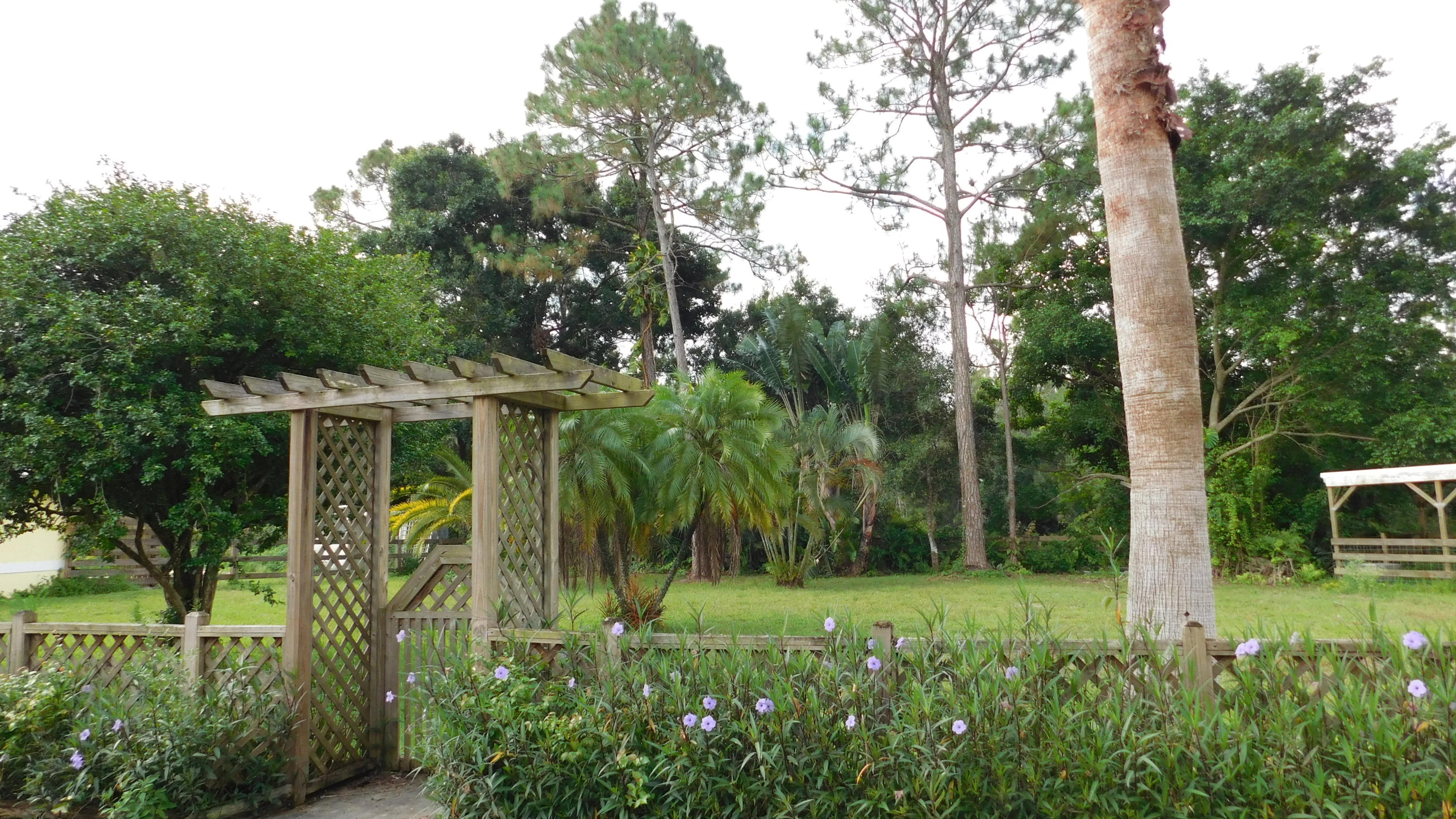 3330 C Road Loxahatchee Groves, FL 33470 - Photo 21 of 33 side yard