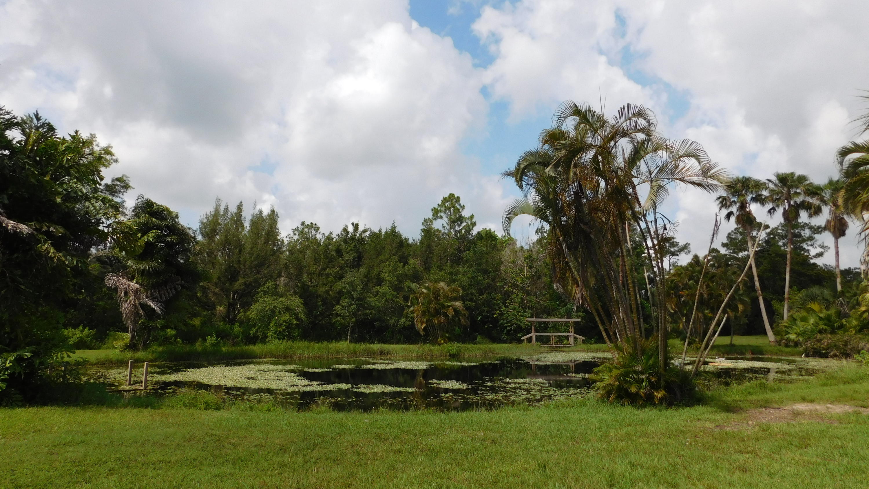 3330 C Road Loxahatchee Groves, FL 33470 - Photo 22 of 33 pond