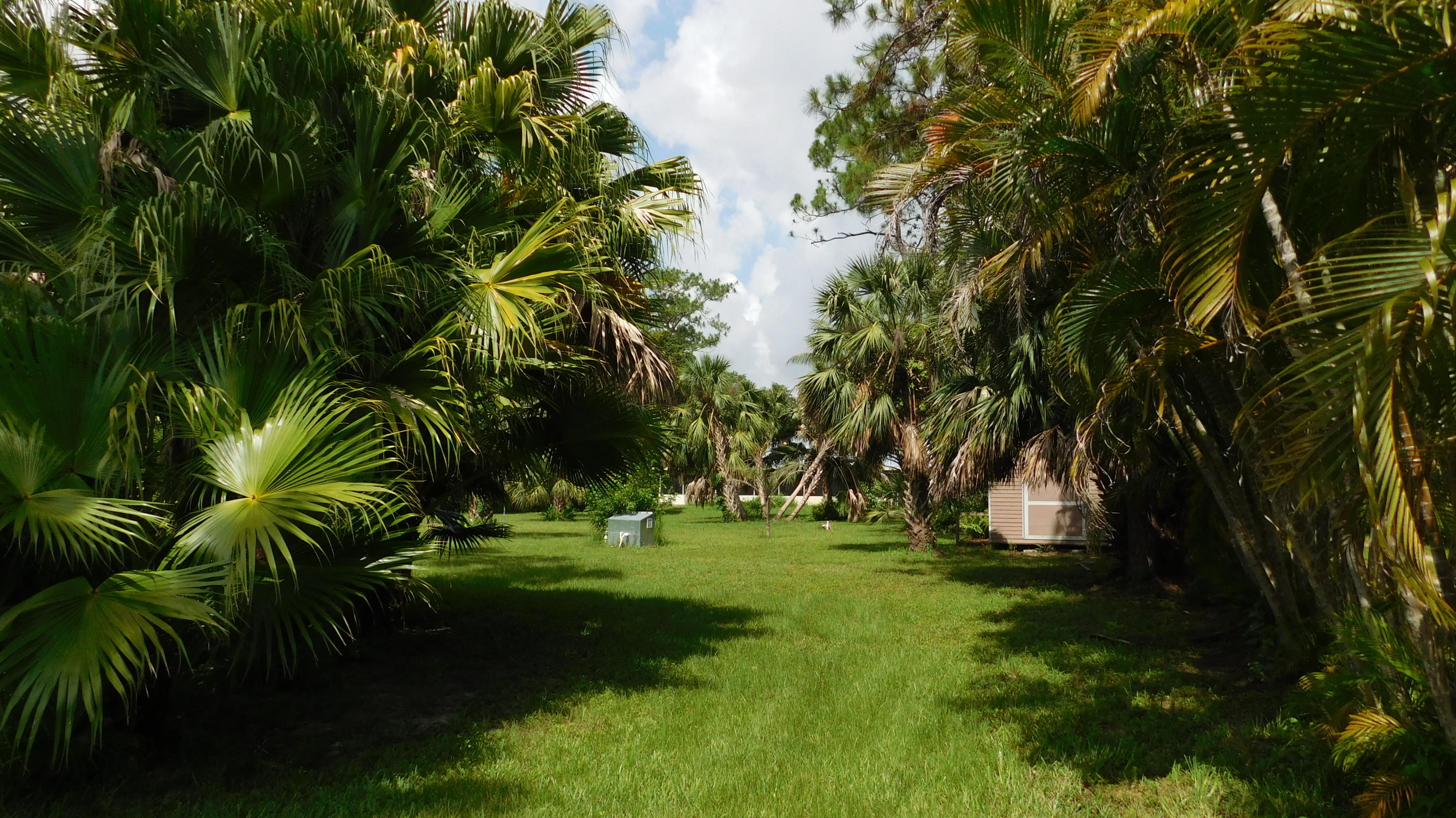3330 C Road Loxahatchee Groves, FL 33470 - Photo 23 of 33 yard behind home A