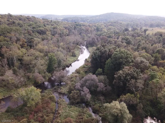 a view of a forest with a mountain in the background