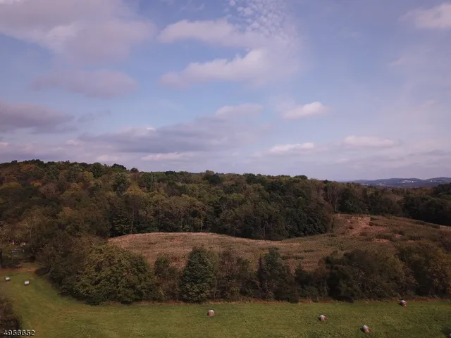 a view of a town with mountains in the background