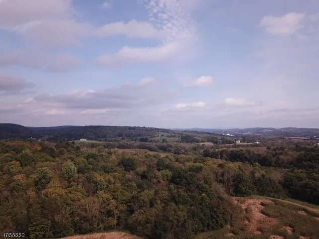 an aerial view of residential houses with a city view