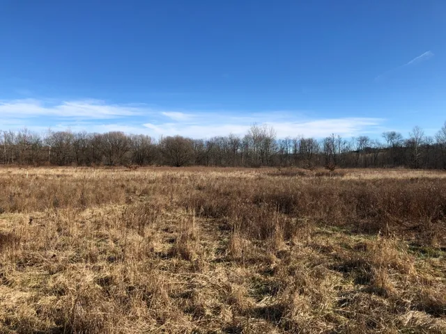 a view of a lake with green space