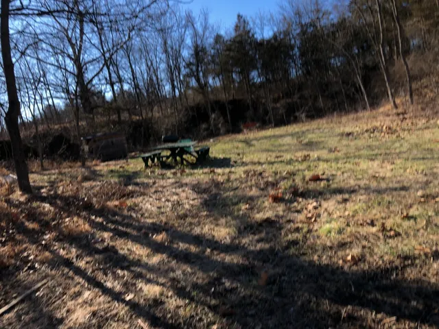 a view of a covered with trees
