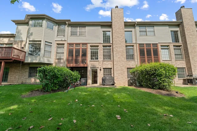 a view of a backyard with large trees