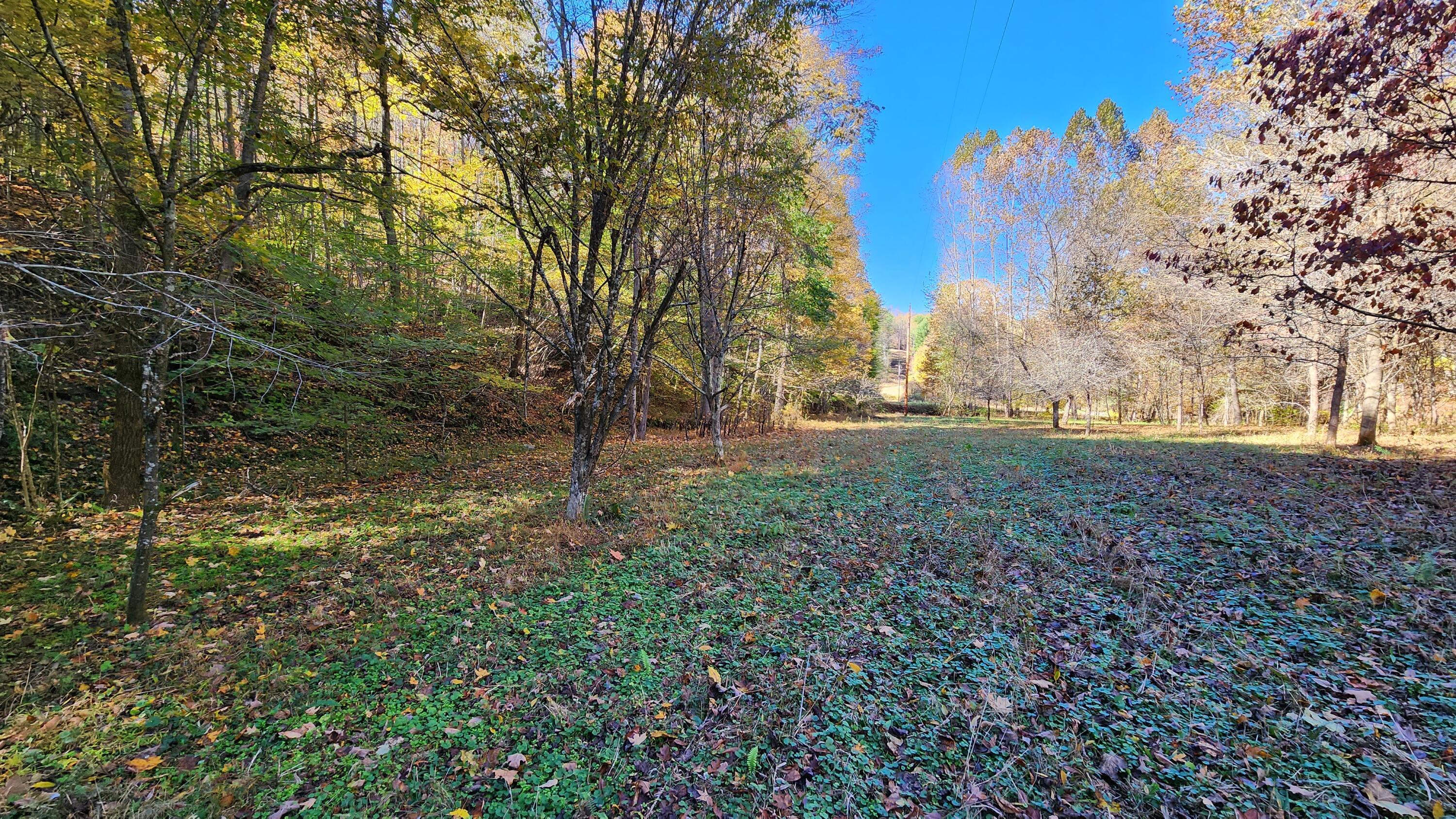 0 Vandergriff Road, Unit TRACT 6) South Bloomingville, OH 43152 - Photo 9 of 59 7