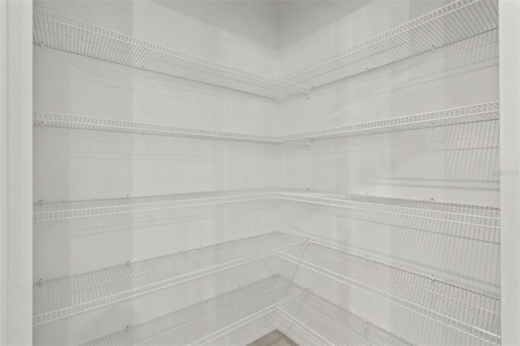 32326 Conchshell Sail Street Wesley Chapel, FL 33545 - Photo 14 of 43