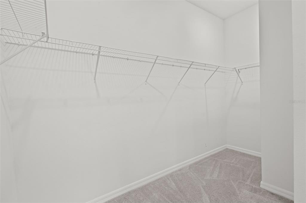 32326 Conchshell Sail Street Wesley Chapel, FL 33545 - Photo 19 of 43