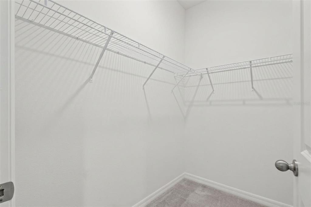 32326 Conchshell Sail Street Wesley Chapel, FL 33545 - Photo 25 of 43