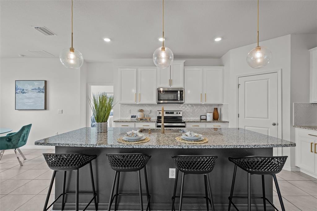 32326 Conchshell Sail Street Wesley Chapel, FL 33545 - Photo 3 of 43