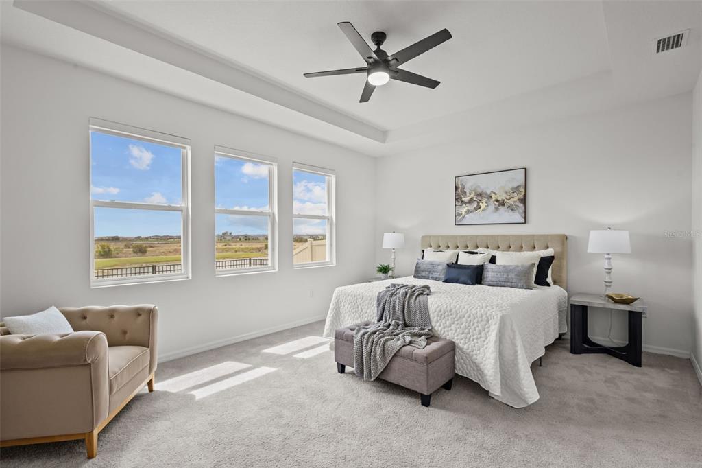 32326 Conchshell Sail Street Wesley Chapel, FL 33545 - Photo 4 of 43