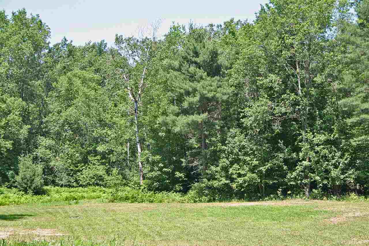 5540 Cook Road Benzonia, MI 49616 - Photo 35 of 37 1783149-34.JPG