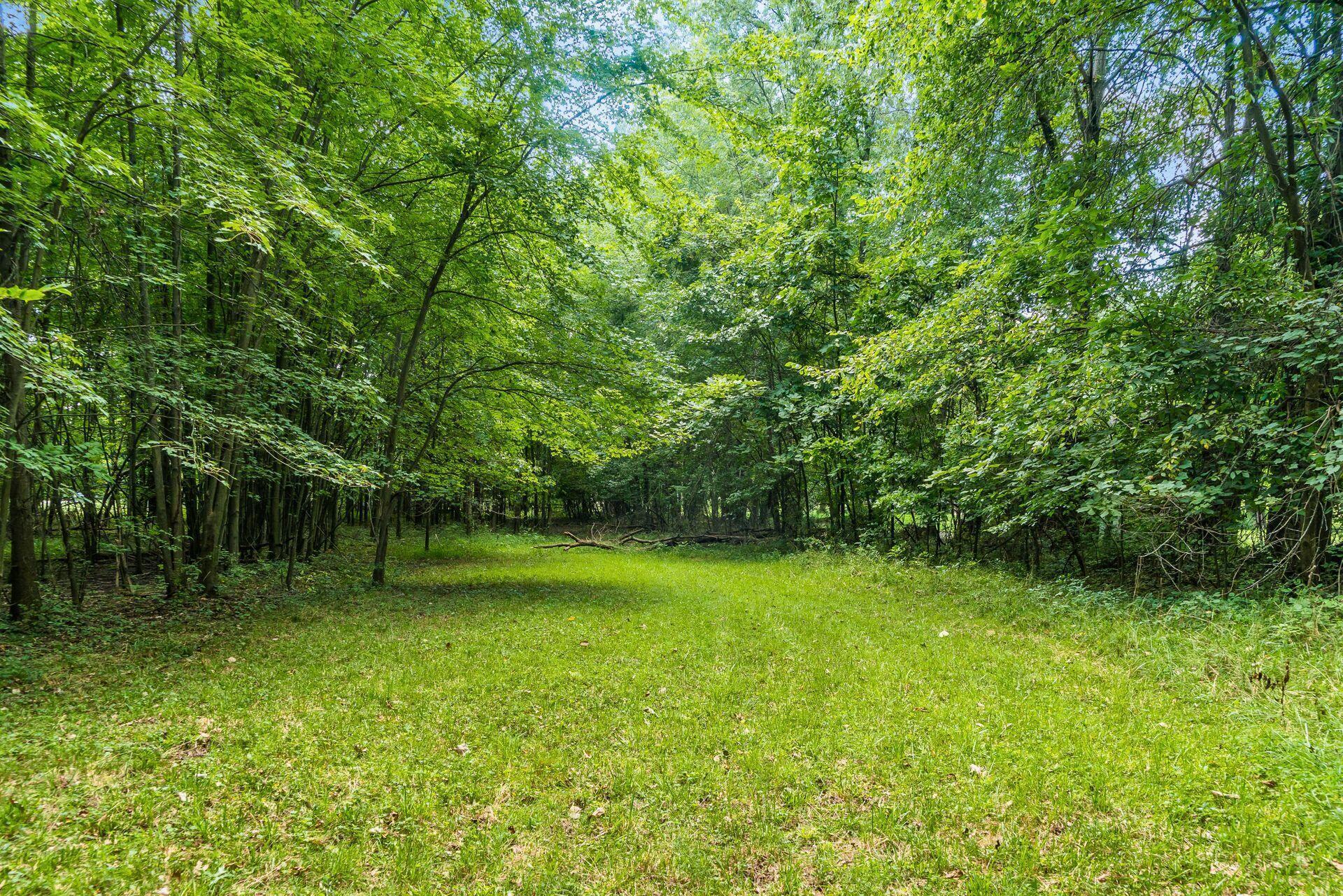 7227 Big Walnut Road Galena, OH 43021 - Photo 45 of 46 Gallery Image 45