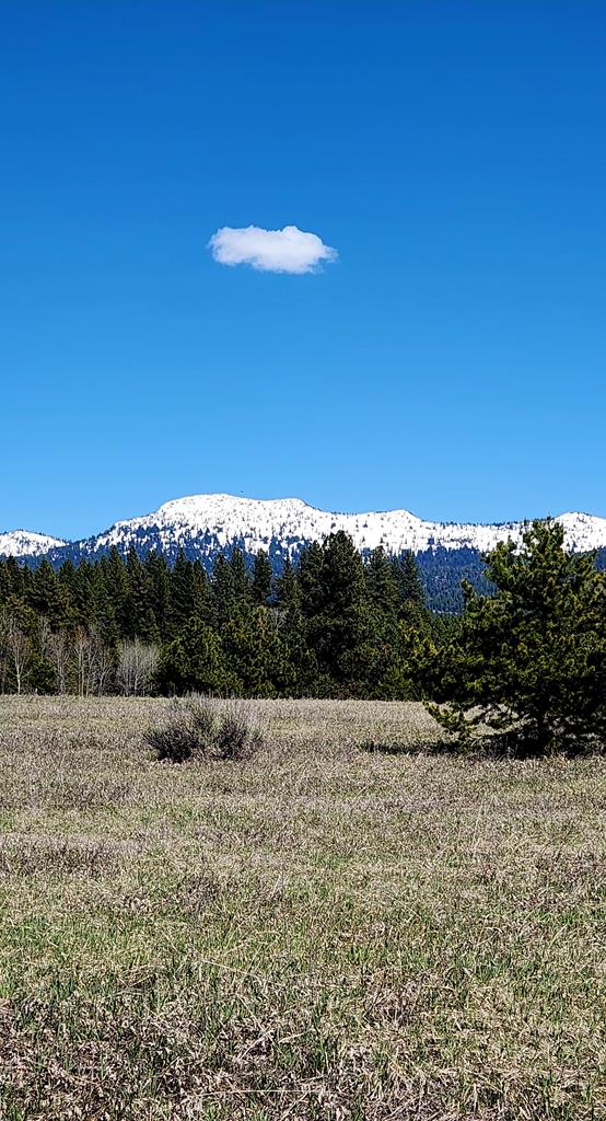 Lot 7 Raptor Loop Unit 7  