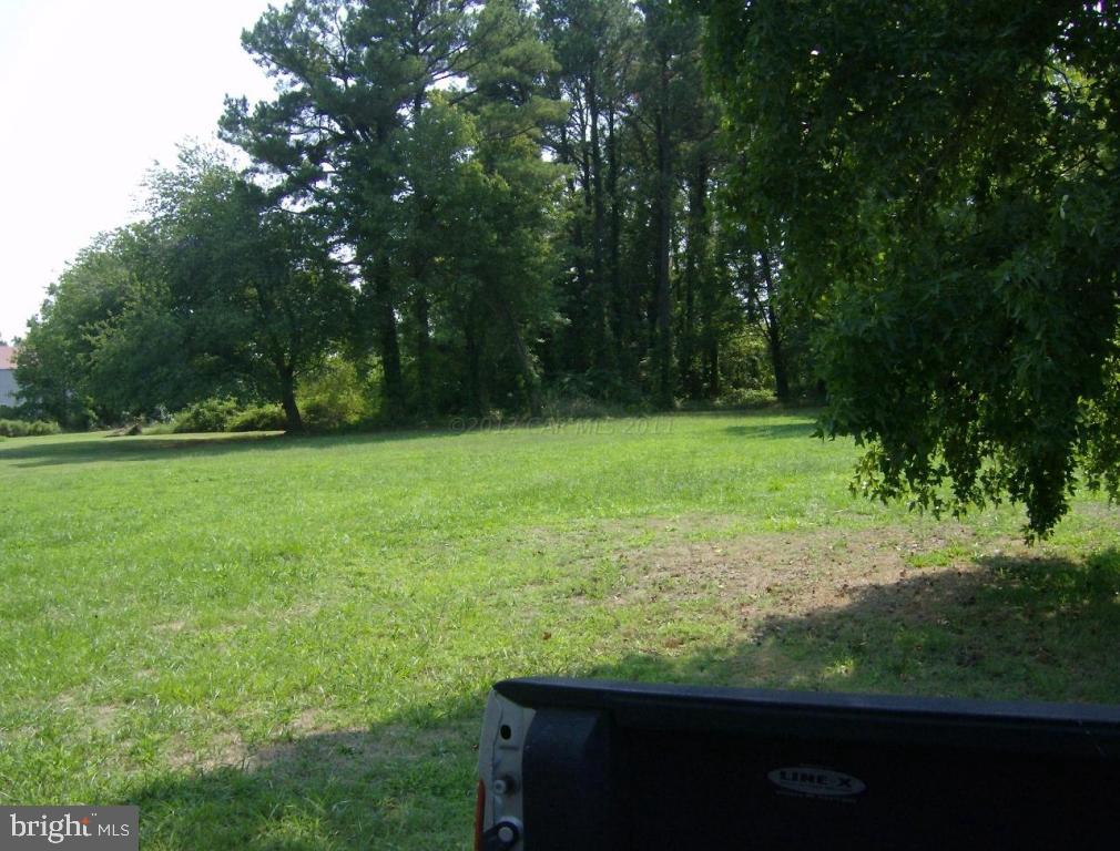 126 Cemetery Road Chance, MD 21821 - Photo 2 of 4