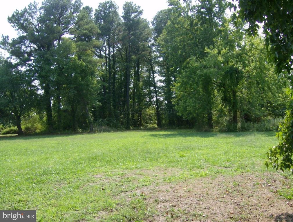 126 Cemetery Road Chance, MD 21821 - Photo 3 of 4