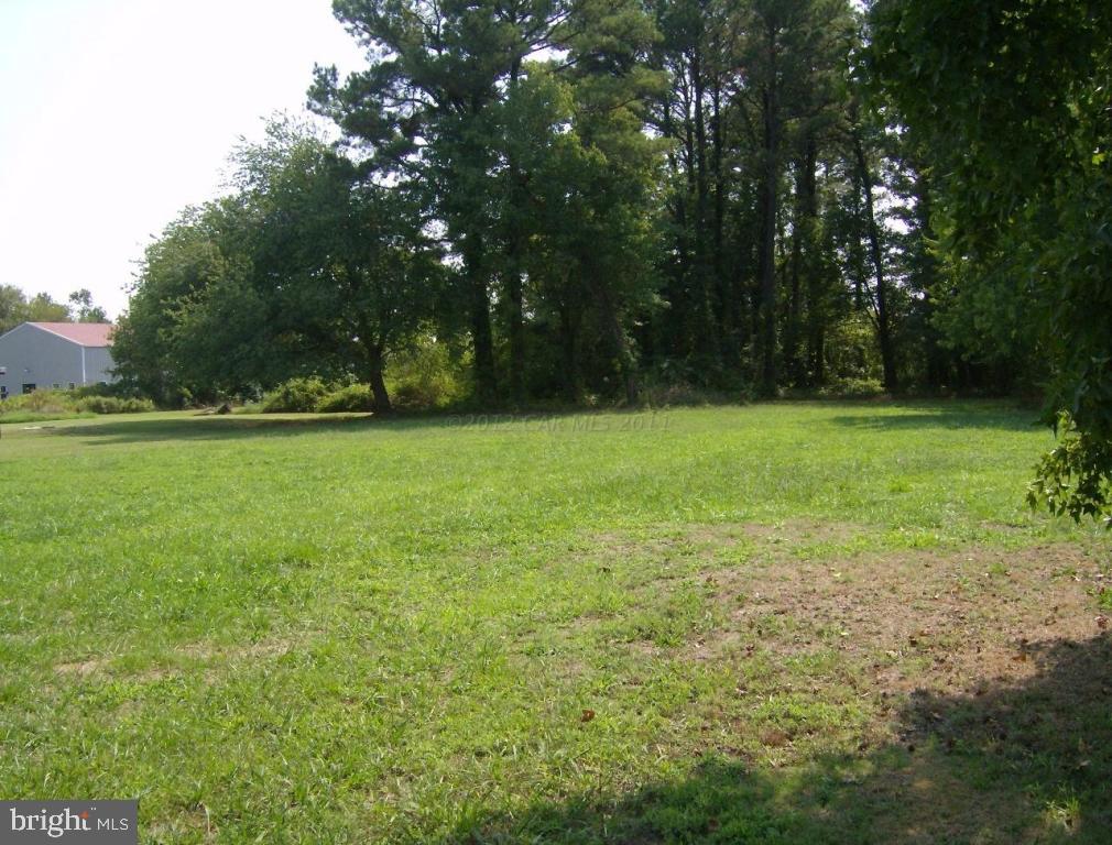 126 Cemetery Road Chance, MD 21821 - Photo 4 of 4