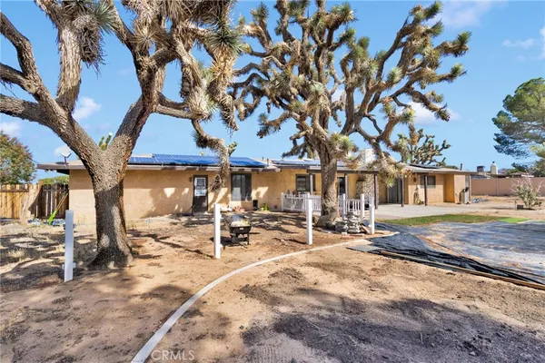 a view of a yard with a tree