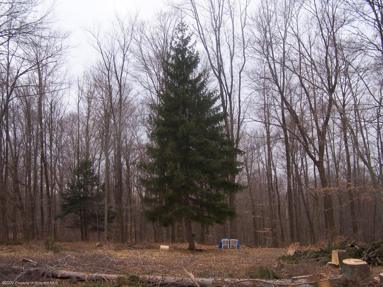 191 Gravity Road Lake Ariel, PA 18436 - Photo 2 of 2 a view of a yard with large trees