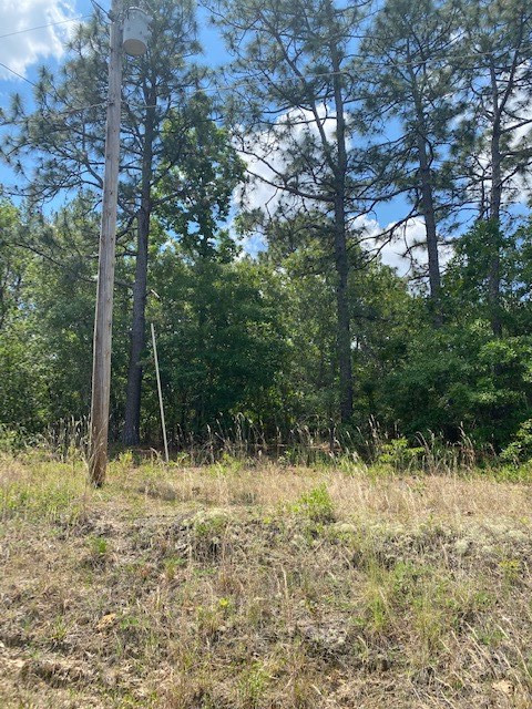 0 Morris Road Aiken, SC 29805 - Photo 11 of 11