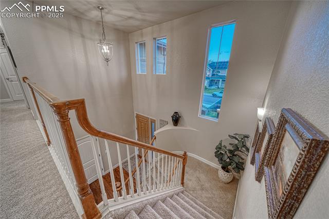 15872 Maple Hill Road Monument, CO 80132 - Photo 40 of 48 Gallery Image 40