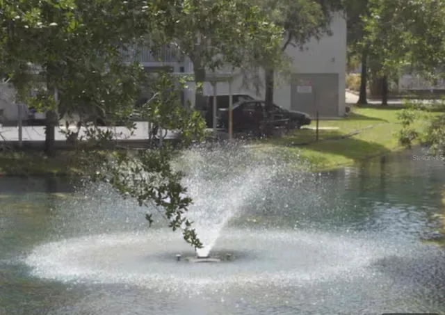 a view of a yard with a fountain