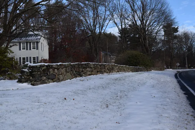 a view of a yard covered with snow in the yard