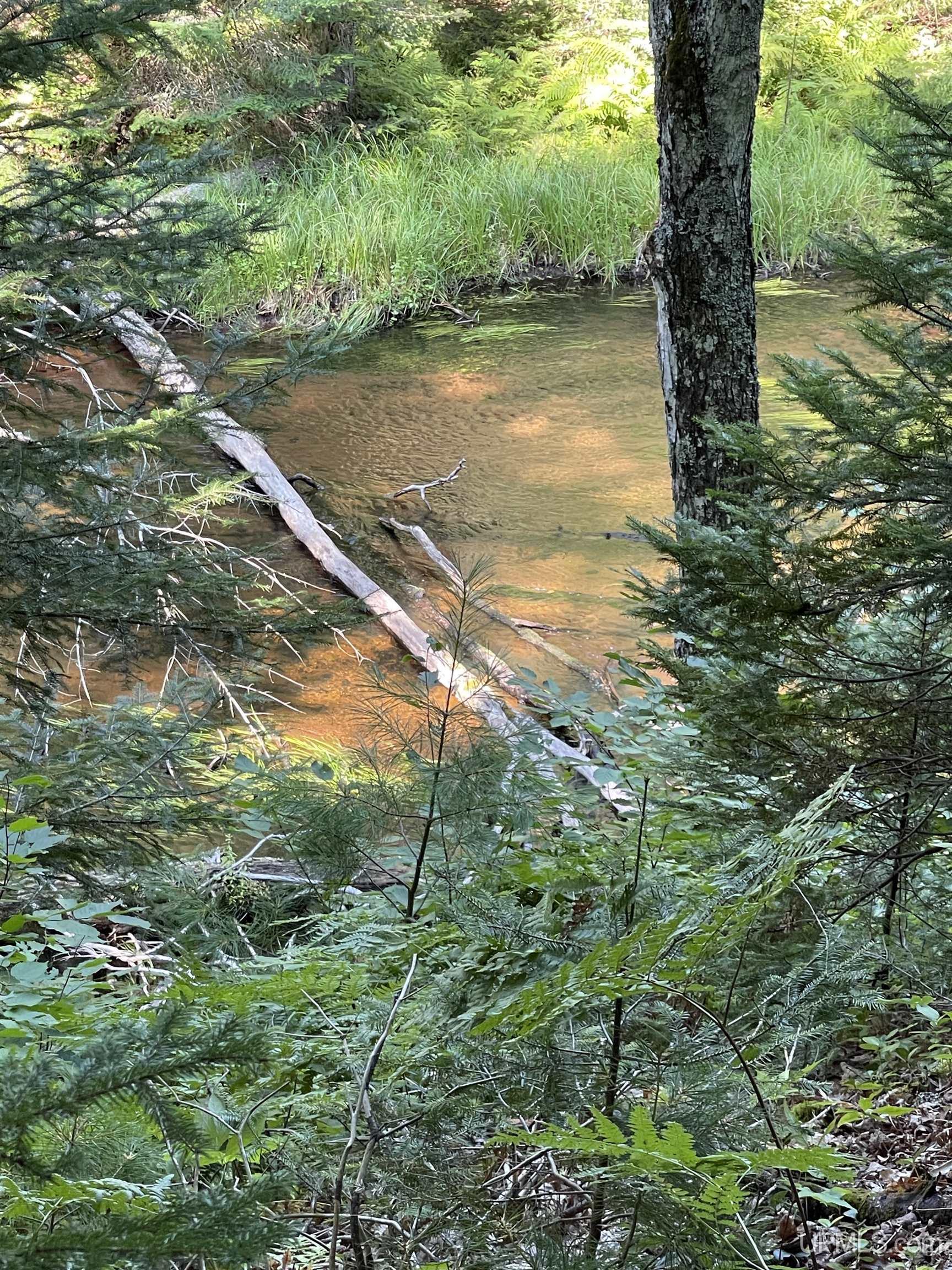 Tbd Sunken Lake Road Seney, MI 49883 - Photo 24 of 47 Gallery Image 24