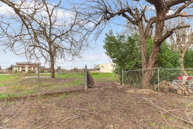 a view of a park with large trees