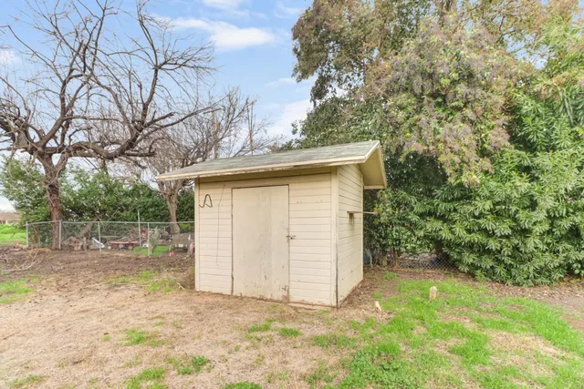 a view of a backyard with a large tree