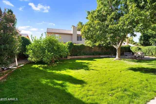 a view of backyard of the house
