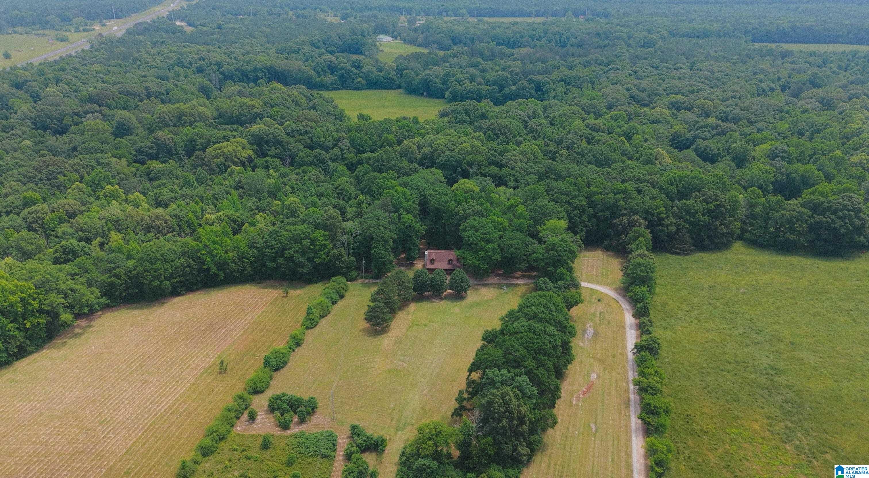 544 Fann Road Steele, AL 35987 - Photo 69 of 84