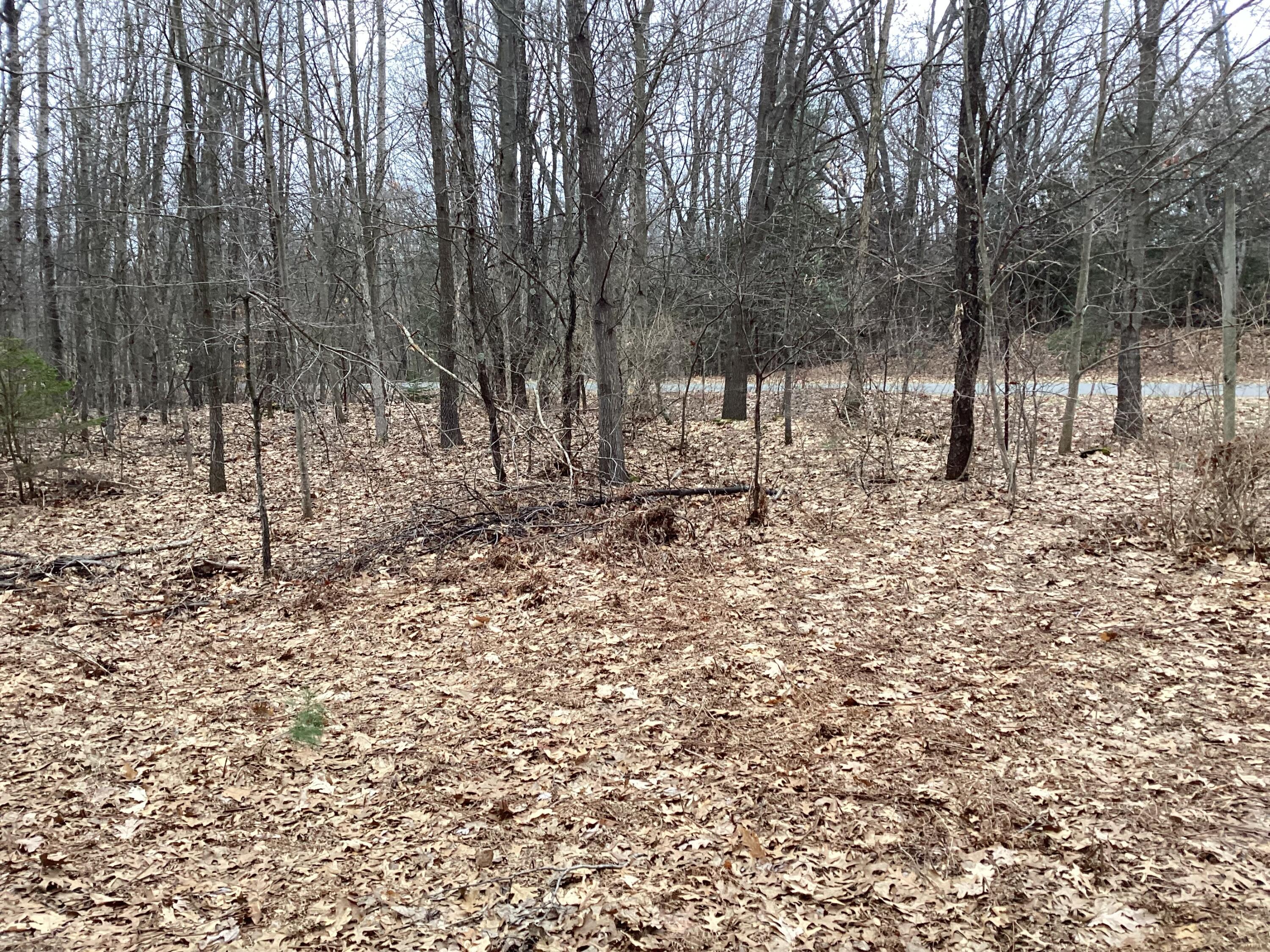 2510 West Winston Road Rothbury, MI 49452 - Photo 14 of 16 IMG_3585