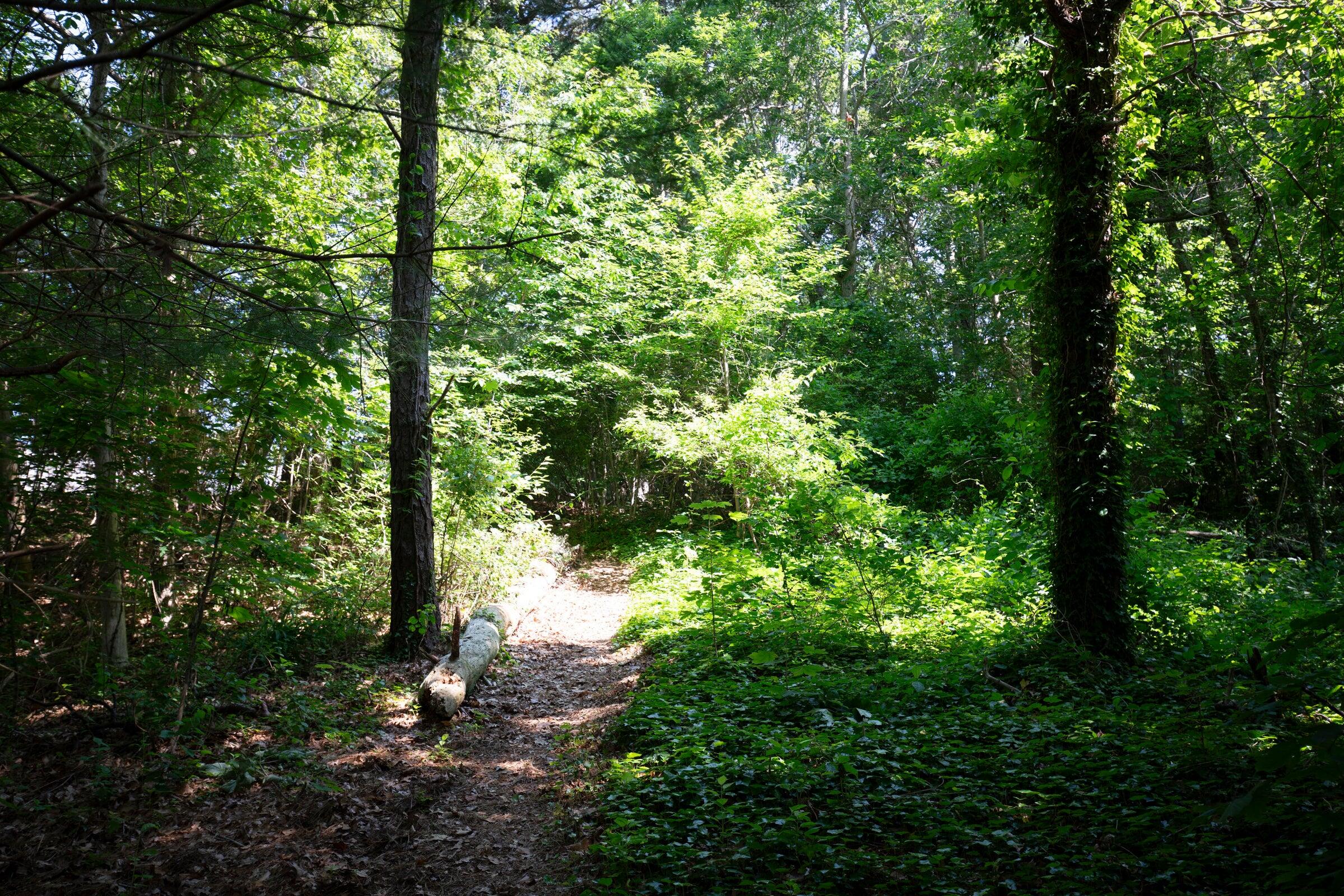 25 Wood Valley Road Chatham, MA 02633 - Photo 54 of 66 Woodvalley_Amenities_3