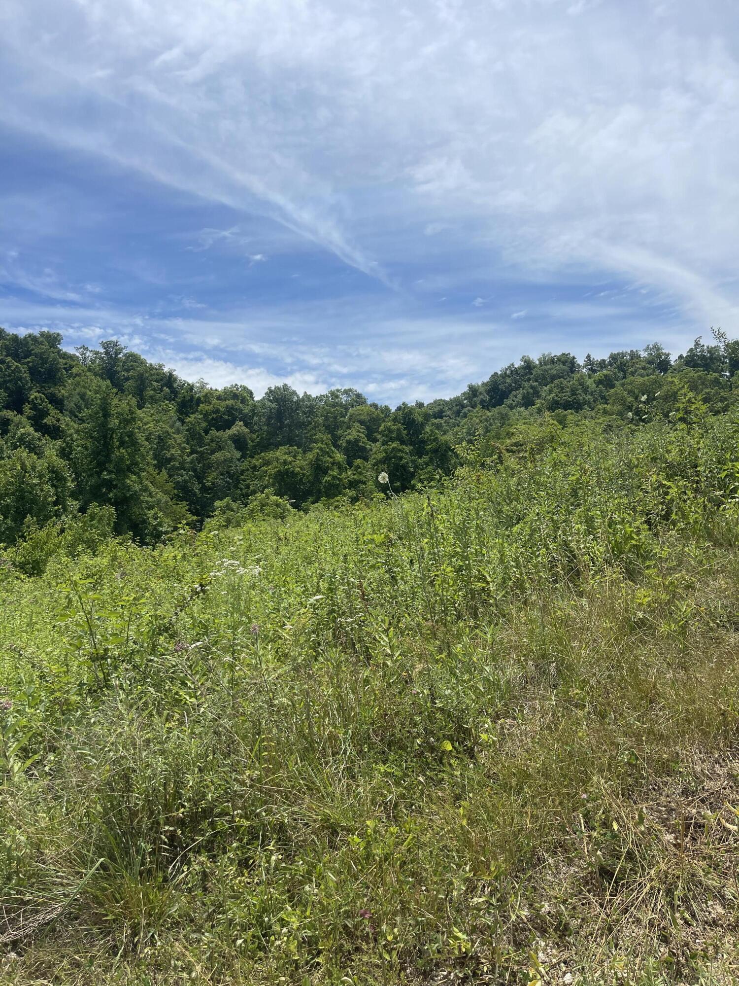 1553 Allen Road Booneville, KY 41314 - Photo 13 of 13 8535B9B7-BEF8-4872-900C-EB77E885AA62