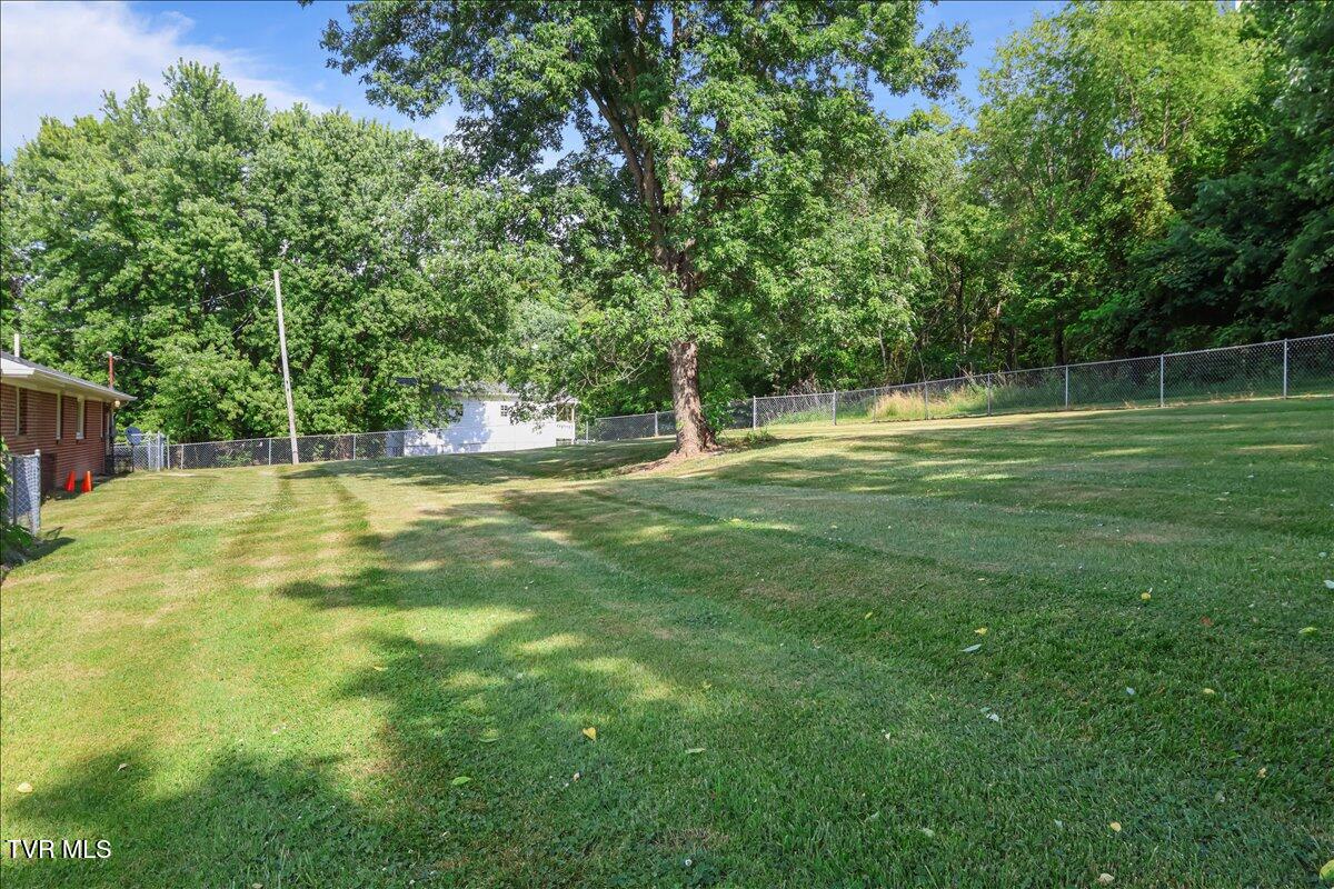 744 South Austin Springs Road Johnson City, TN 37601 - Photo 38 of 74 38-IMG_8347